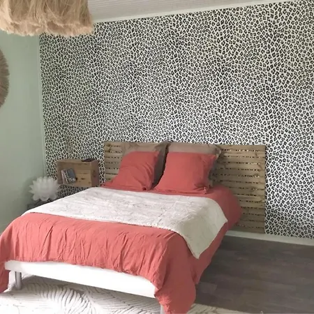 Appartamento Maison Hyper Centre Cognac